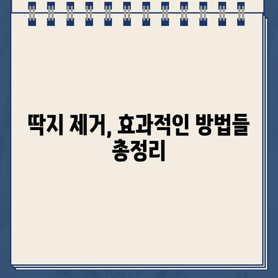 끈적끈적 주차딱지, 이제 걱정 끝! 깔끔하게 제거하는 5가지 방법 | 주차딱지 제거, 딱지 제거 팁, 딱지 제거 방법, 주차딱지 제거 요령