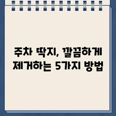 주차 딱지 & 유리 스티커 제거 꿀팁| 깔끔하게 없애는 5가지 방법 | 주차딱지, 스티커 제거, 잔여물 제거, 자동차 관리