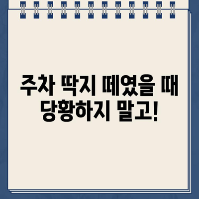 미국 운전 초보, 주차 딱지의 충격! 😱 | 주차 위반 딱지, 벌금, 대처법, 미국 운전 팁