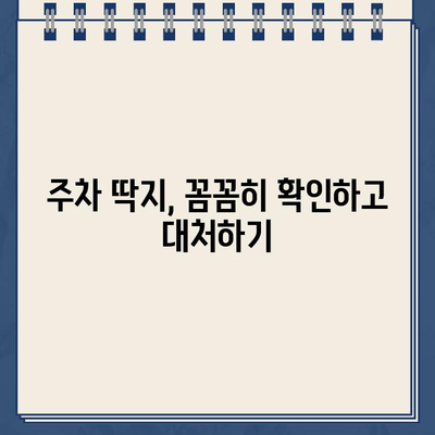 미국 운전 초보, 주차 딱지의 충격! 😱 | 주차 위반 딱지, 벌금, 대처법, 미국 운전 팁