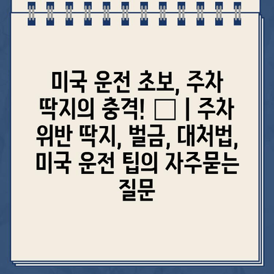 미국 운전 초보, 주차 딱지의 충격! 😱 | 주차 위반 딱지, 벌금, 대처법, 미국 운전 팁