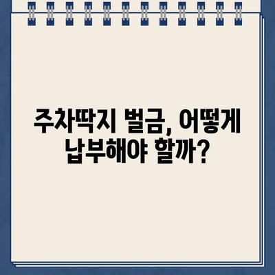 주차딱지 등기, 벌금 폭탄? 😱 | 주차딱지 벌금, 납부 방법, 면제 가능성 확인