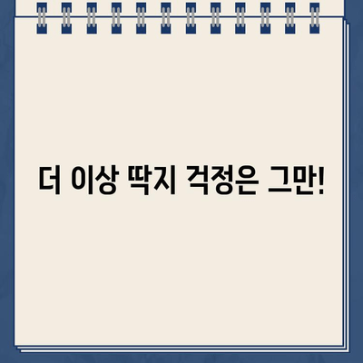 주차 딱지 걱정 끝! 정차 단속 알림 서비스 추천 | 주차 단속, 딱지, 알림, 서비스, 주차 앱