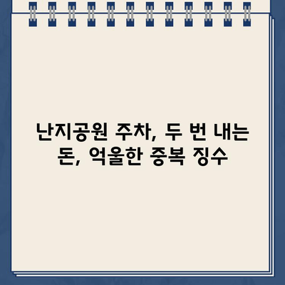 난지공원 주차장, 이상한 주차 라인과 중복 징수 논란| 운전자들의 고충 | 난지공원, 주차 문제, 불편사항, 민원