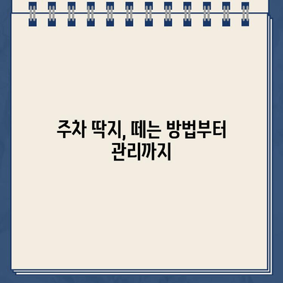 주차 딱지 제거부터 유리 청소까지, 세차 꿀팁 완벽 정복 | 주차 딱지, 유리 세척, 세차 팁, 자동차 관리