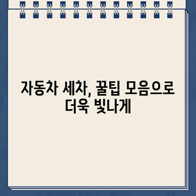 주차 딱지 제거부터 유리 청소까지, 세차 꿀팁 완벽 정복 | 주차 딱지, 유리 세척, 세차 팁, 자동차 관리