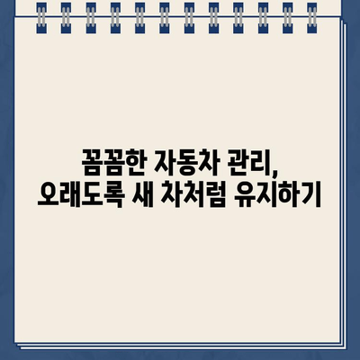 주차 딱지 제거부터 유리 청소까지, 세차 꿀팁 완벽 정복 | 주차 딱지, 유리 세척, 세차 팁, 자동차 관리