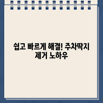 끈적끈적 주차딱지, 이제 걱정 끝! 쉽고 빠르게 제거하는 꿀팁 | 주차딱지 제거, 잔여물 제거, 깨끗하게