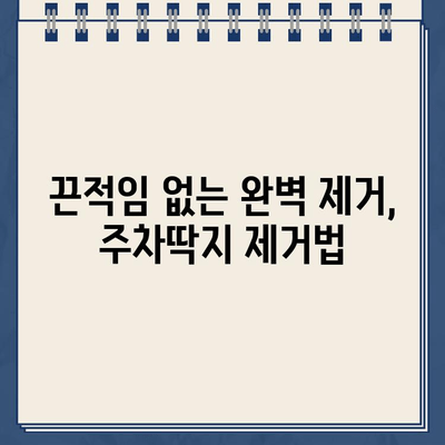 끈적끈적 주차딱지, 이제 걱정 끝! 쉽고 빠르게 제거하는 꿀팁 | 주차딱지 제거, 잔여물 제거, 깨끗하게