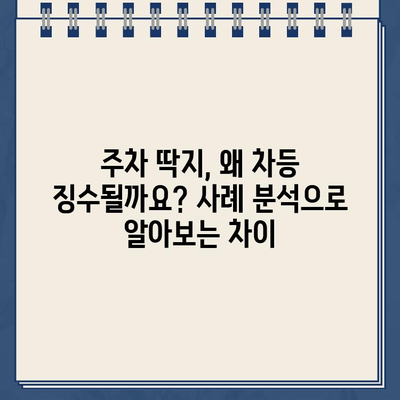 같은 장소 주차, 딱지는 다르게? 주차 위반 딱지 차등 징수 사례 분석 | 주차 딱지, 주차 위반, 차등 징수, 주차 단속