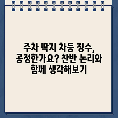 같은 장소 주차, 딱지는 다르게? 주차 위반 딱지 차등 징수 사례 분석 | 주차 딱지, 주차 위반, 차등 징수, 주차 단속