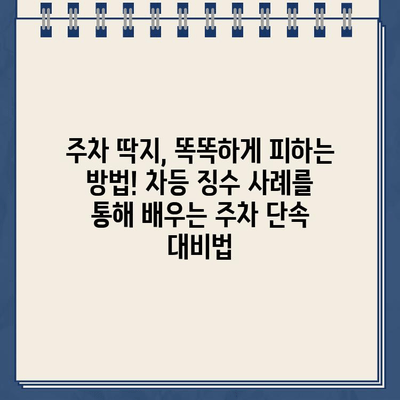 같은 장소 주차, 딱지는 다르게? 주차 위반 딱지 차등 징수 사례 분석 | 주차 딱지, 주차 위반, 차등 징수, 주차 단속