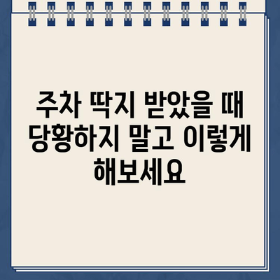 호주 주차 위반, 삼계탕으로 달래기? | 주차 딱지, 벌금, 꿀팁, 호주 생활