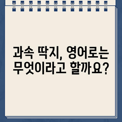 주차 위반 & 과속 딱지, 영어로 어떻게 말할까요? | 주차 위반, 과속, 딱지, 영어 표현, 단어, 문장