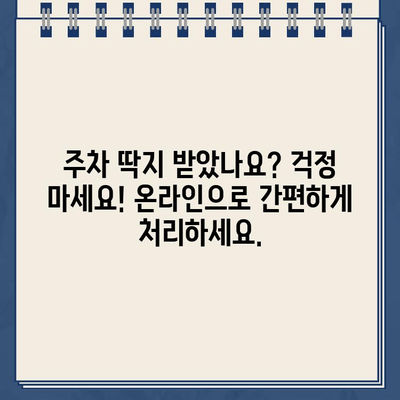 LA 레이크 할리우드 파크 주차 딱지 인터넷 납부 완벽 가이드 | 주차 딱지, 벌금, 납부 방법, 온라인 결제