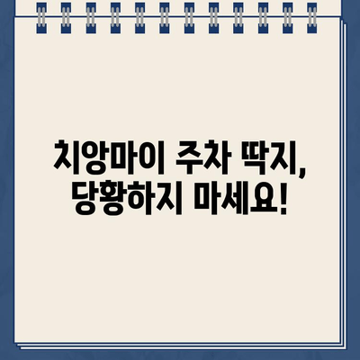 치앙마이 여행 중 주차 위반 딱지 끊겼어요? 😱  내 경험 공유 | 태국, 주차 규정, 벌금, 해결 방법