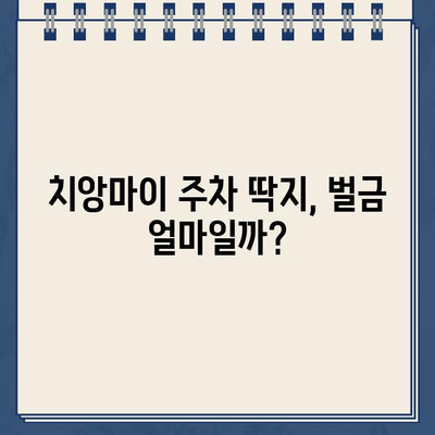 치앙마이 여행 중 주차 위반 딱지 끊겼어요? 😱  내 경험 공유 | 태국, 주차 규정, 벌금, 해결 방법