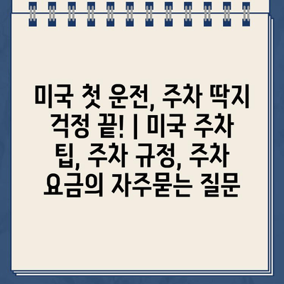 미국 첫 운전, 주차 딱지 걱정 끝! | 미국 주차 팁, 주차 규정, 주차 요금