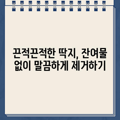 주차 딱지 스티커 제거, 5가지 완벽 해결 팁 | 주차딱지, 스티커 제거, 꿀팁