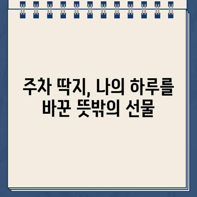 주차 딱지와 함께 찾은 일상의 행복| 카페, 놀이터, 그리고 뜻밖의 즐거움 | 주차 딱지, 일상, 카페, 놀이터, 긍정적인 경험