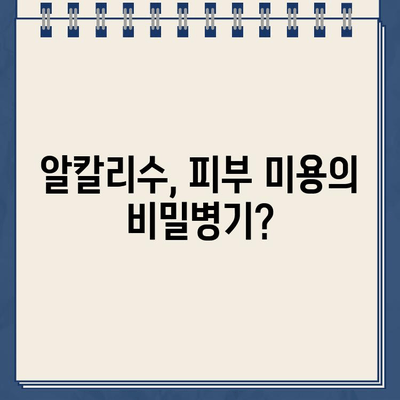 냉온수 정수기 알칼리성 물| 피부 건강과 주름 예방에 효과적인가요? | 알칼리수, 미용, 피부 관리, 콜라겐, 노화 방지