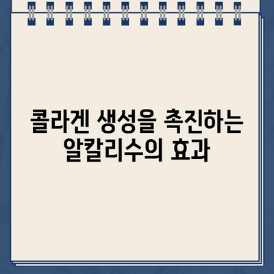 냉온수 정수기 알칼리성 물| 피부 건강과 주름 예방에 효과적인가요? | 알칼리수, 미용, 피부 관리, 콜라겐, 노화 방지