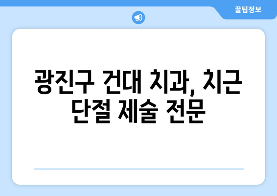 광진구 건대 치과| 어금니 치근 단절 제술 - 치료 과정과 주의 사항 | 어금니, 치근, 단절, 치료, 주의, 정보