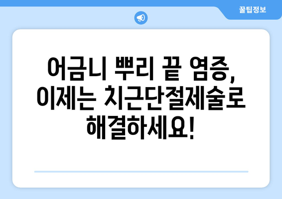 광진구 건대치과 어금니 치근단절제술(Apicoectomy) 성공 사례| 섬세한 치료와 환자 중심 케어 | 치근단절제술, 어금니 치료, 건대 치과, 광진구 치과, 임플란트