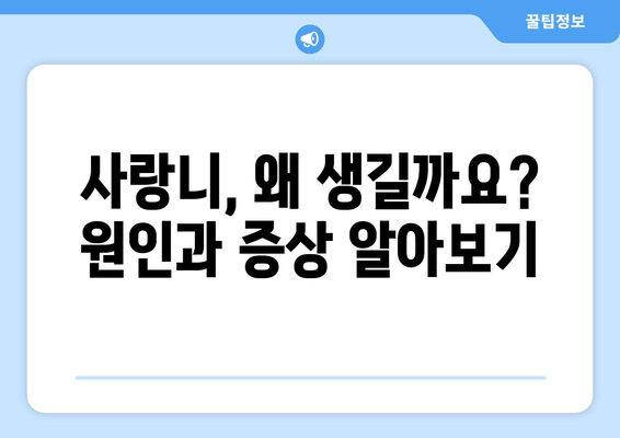 건대치과 사랑니| 발생 원인부터 해결책까지 | 사랑니 통증, 발치, 관리, 건대치과 추천