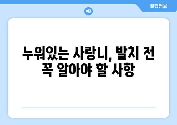 건대치과 누워 있는 사랑니 발치 전 알아야 할 주의 사항 | 사랑니 발치, 통증 관리, 회복 가이드