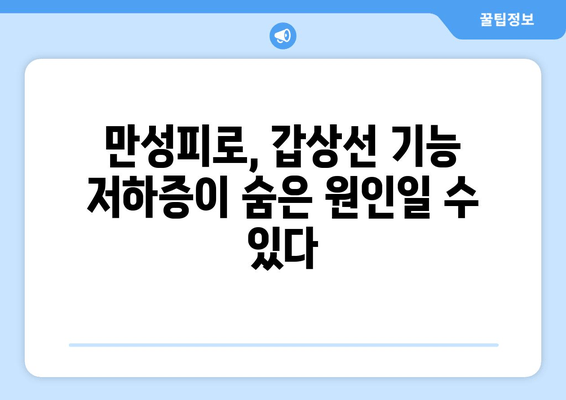 만성피로, 갑상선기능저하증이 원인일 수 있다면? | 만성피로, 갑상선, 건강, 진단, 치료, 증상