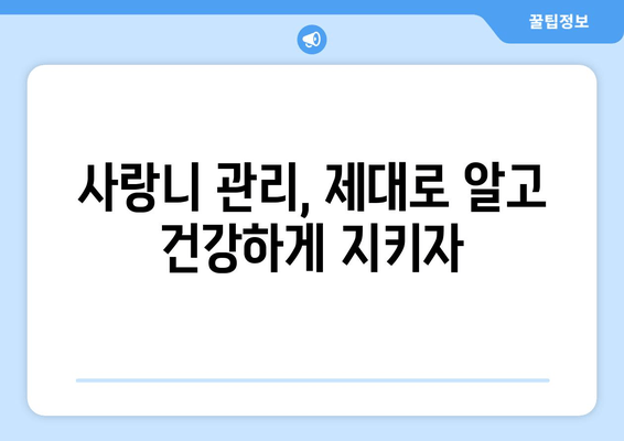 건대치과 사랑니 충치 염증, 안전하게 예방하는 시술 가이드 | 사랑니 관리, 치과 추천, 예방 치료