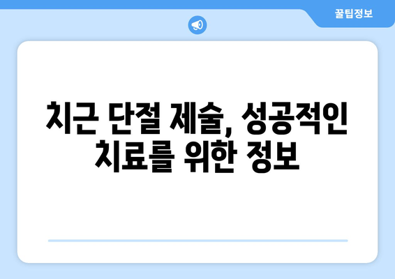 광진구 건대 치과| 어금니 치근 단절 제술 - 치료 과정과 주의 사항 | 어금니, 치근, 단절, 치료, 주의, 정보