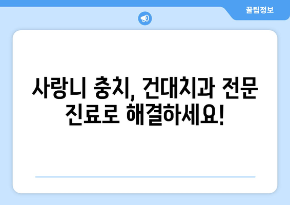 건대치과 사랑니 충치, 이제 걱정 뚝! 예방 & 관리 가이드 | 사랑니, 충치, 건대치과, 치과 진료, 예방법