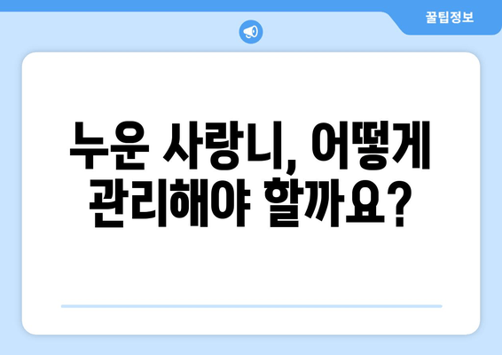 건대치과 누운 사랑니, 어떻게 해야 할까요? | 사랑니 발치, 통증 완화, 치과 추천