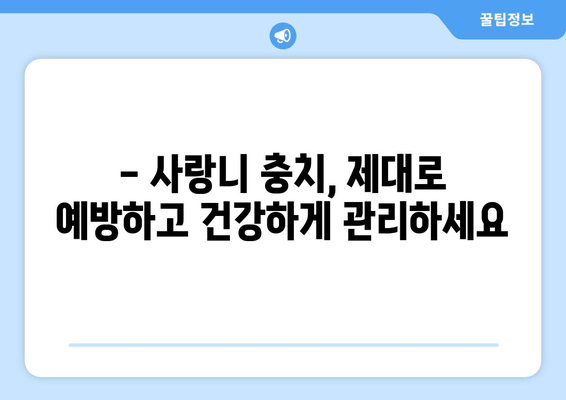 건대치과| 사랑니 충치, 이렇게 예방하세요! | 사랑니 관리, 충치 예방 팁, 건대 치과 추천