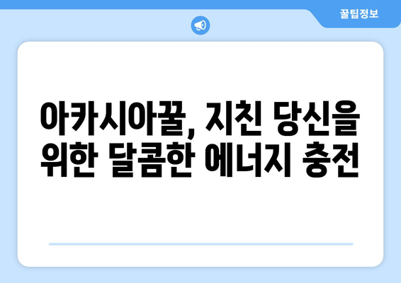 아카시아꿀의 피로회복 효과| 지친 몸과 마음을 되살리는 달콤한 비밀 | 피로회복, 꿀 효능, 건강 팁