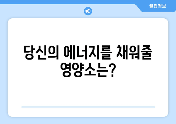 만성피로 증후군 극복| 영양 보충과 균형 잡힌 식단으로 증상 완화하기 | 피로, 식단, 영양, 건강