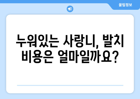 건대치과 누워있는 사랑니, 어떻게 해야 할까요? | 사랑니 발치, 치과 추천, 비용, 통증, 주의사항