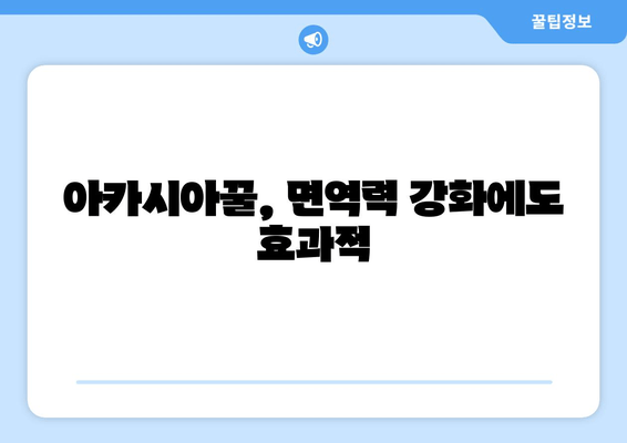 천연 피로 회복제, 아카시아꿀로 활력 충전! | 피로 해소, 꿀 효능, 건강 관리