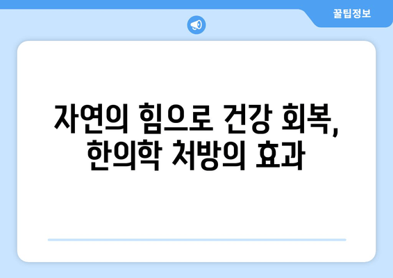 집중력과 면역력 향상! 한의학 처방으로 건강 회복하기 | 집중력, 면역력, 한의학, 건강, 처방