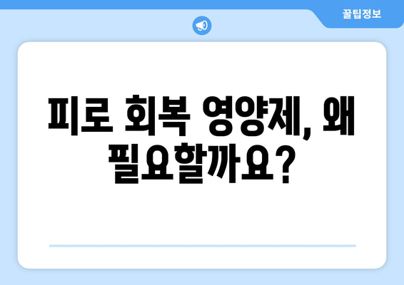 피로 회복 영양제| 효과적인 성분과 추천 | 피로 해소, 에너지 충전, 건강 관리