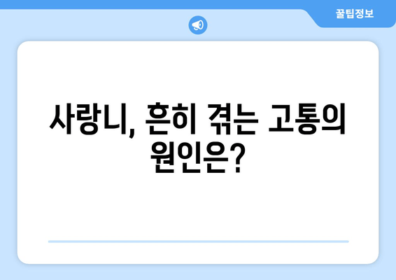 사랑니, 왜 나는 걸까? 건대치과가 밝히는 사랑니 발생 원인 | 사랑니, 원인, 건대치과, 치과, 통증