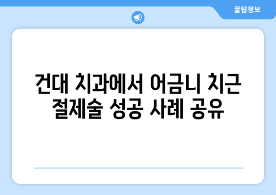 광진구 건대치과 어금니 치근 절제술 수술 사례| 성공적인 치료 경험 공유 | 어금니, 치근 절제술, 임플란트, 치과 추천