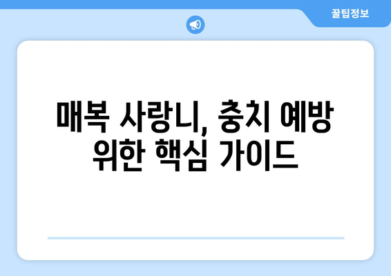 건대치과 매복 사랑니, 충치 걱정 끝! 예방 관리 가이드 | 매복 사랑니, 충치 예방, 건대 치과, 치과 관리