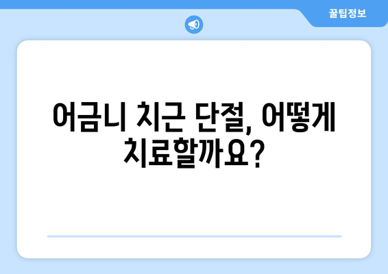 광진구 건대 치과| 어금니 치근 단절 제술 - 치료 과정과 주의 사항 | 어금니, 치근, 단절, 치료, 주의, 정보