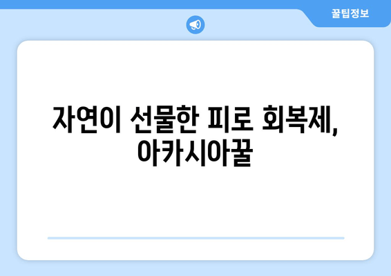 천연 피로 회복제, 아카시아꿀로 활력 충전! | 피로 해소, 꿀 효능, 건강 관리