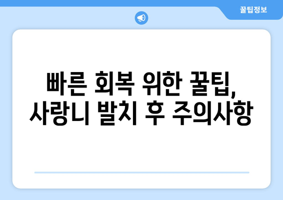 건대치과 누워 있는 사랑니 발치 전 알아야 할 주의 사항 | 사랑니 발치, 통증 관리, 회복 가이드