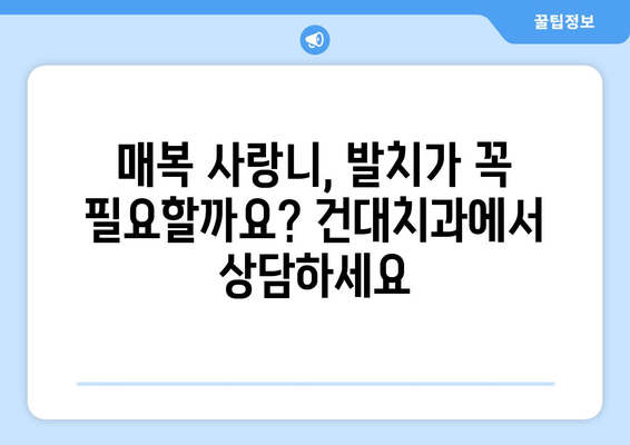 건대치과 매복 사랑니, 충치와 염증 예방 위한 완벽 가이드 | 사랑니, 매복 사랑니, 치과, 건대