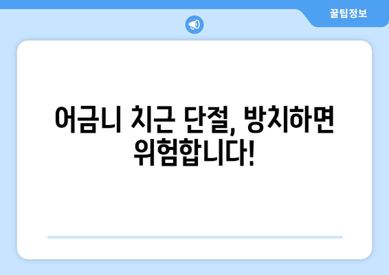 광진구 건대 치과| 어금니 치근 단절 제술 - 치료 과정과 주의 사항 | 어금니, 치근, 단절, 치료, 주의, 정보